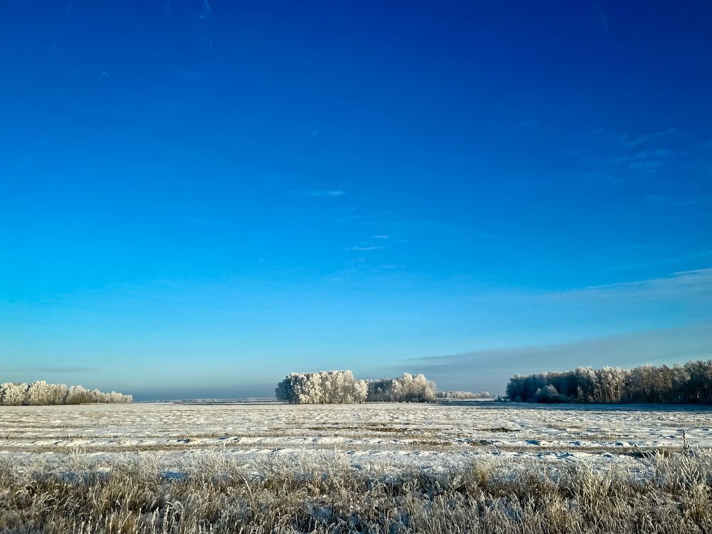 Photograph by Олег Терешкин