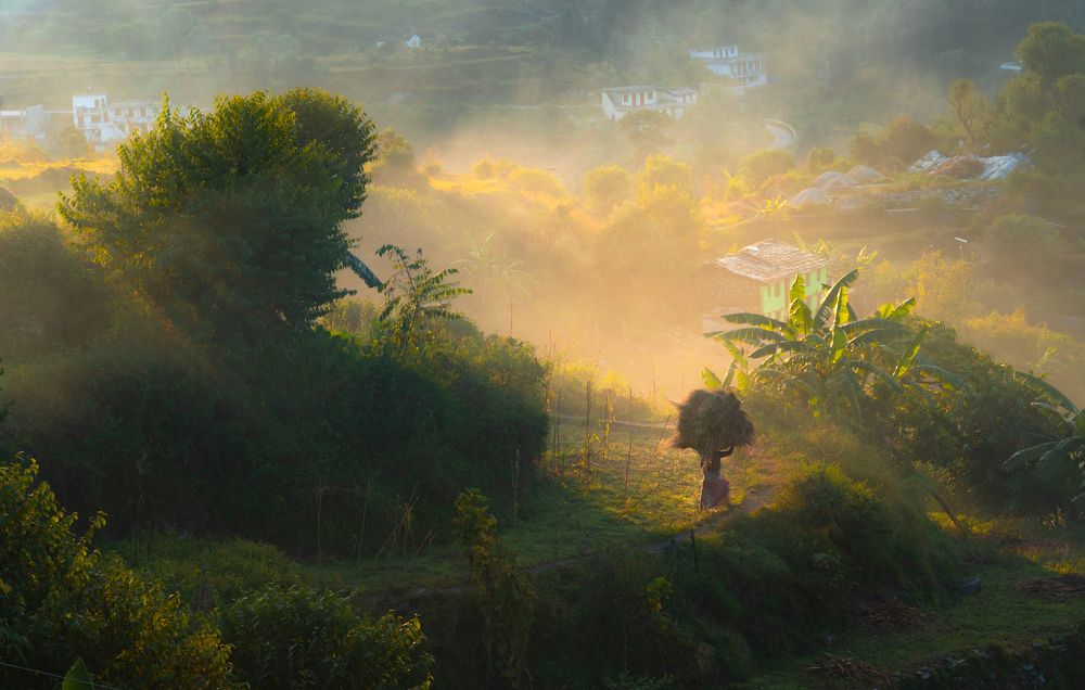 Photograph by Digvijay singh Janoti