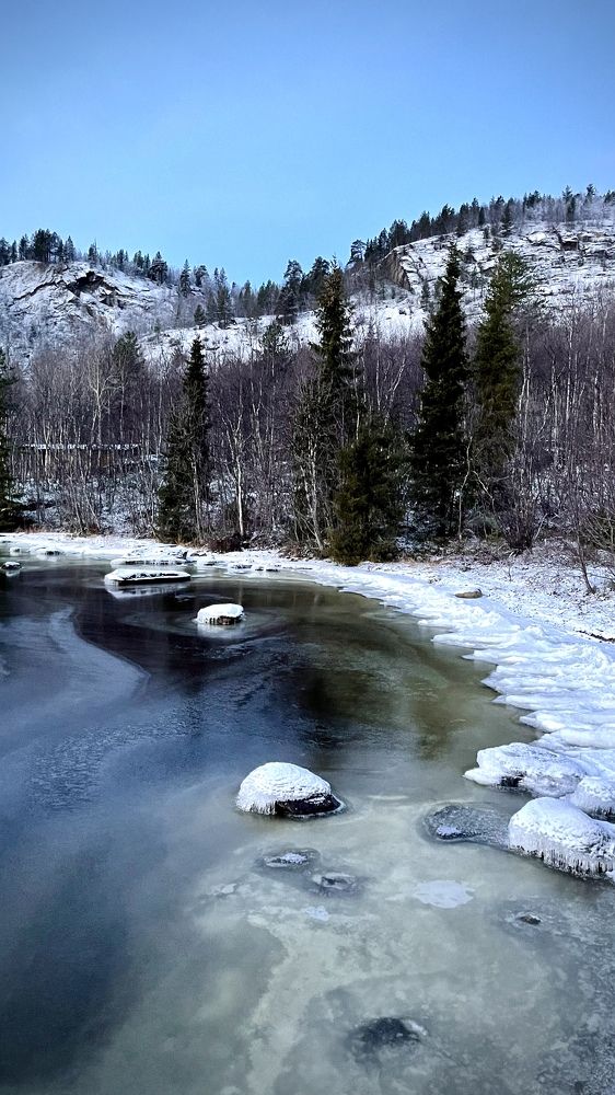 Фотография автора Юлия Шумейко