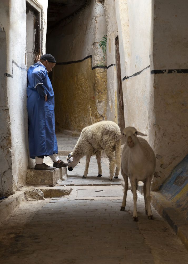 Photograph by Элеонора Фридман