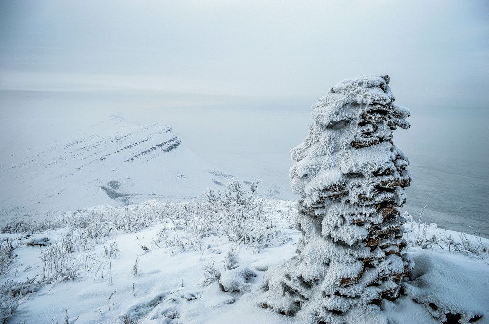 Photograph by Алексей Митрофанов