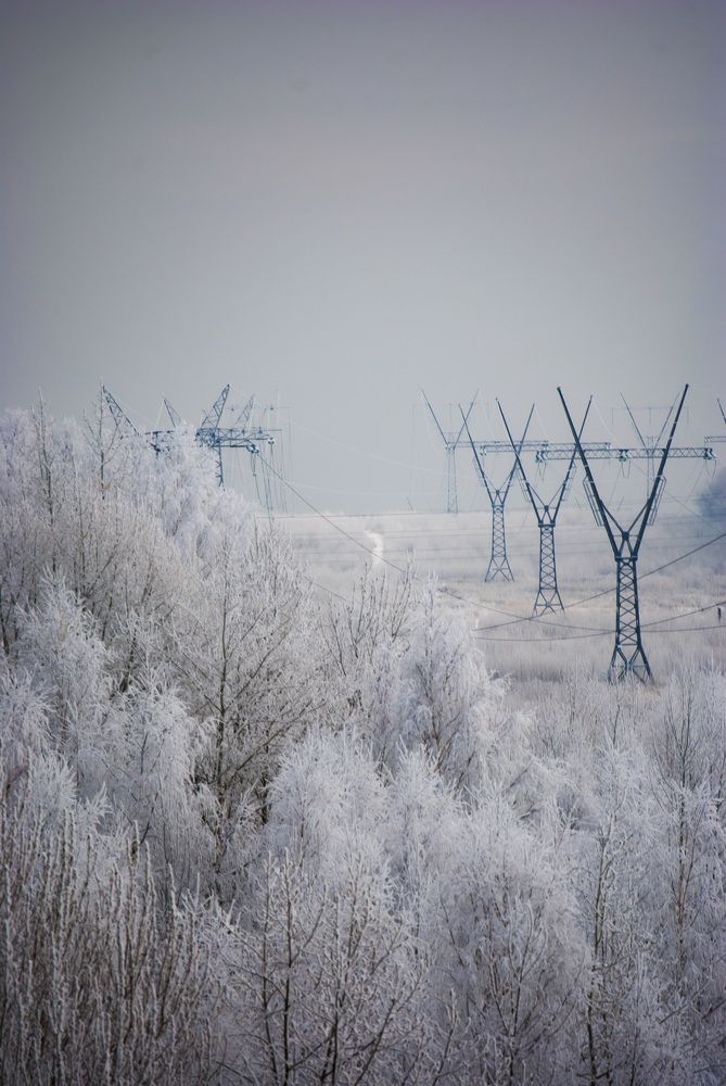 Photograph by Любовь Бусова