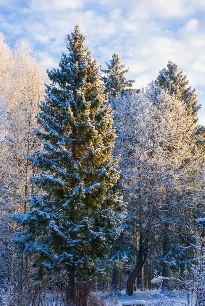 Photograph by Любовь Бусова