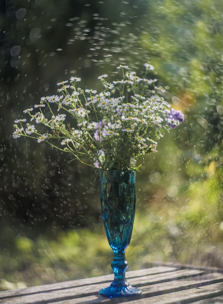 Фотография автора Сигидова Ирина