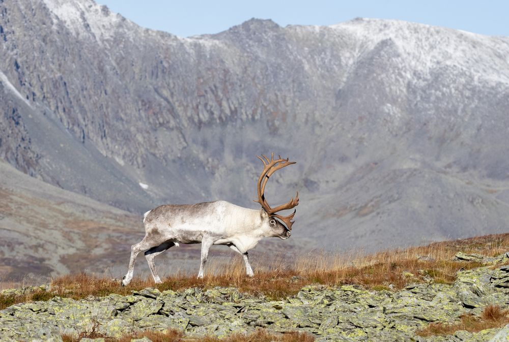 Photograph by Владислав Костылев