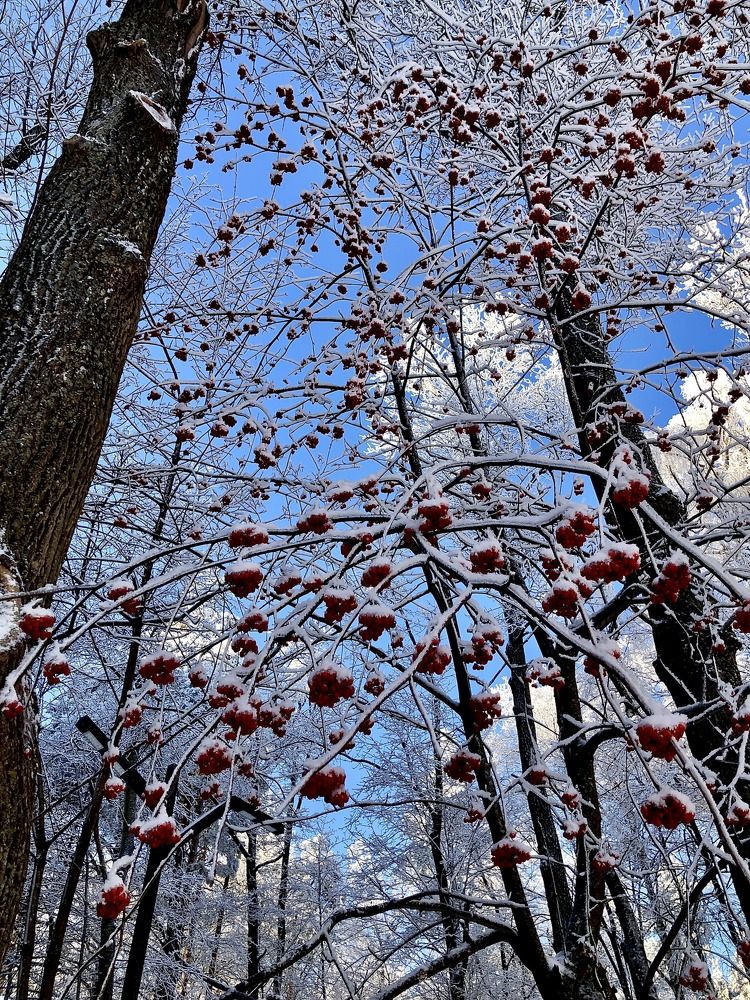 Photograph by Георгий Калякин