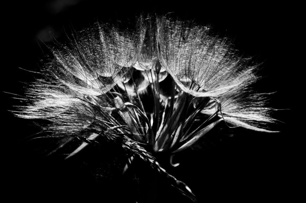 Photograph by Dimitriy Anikin