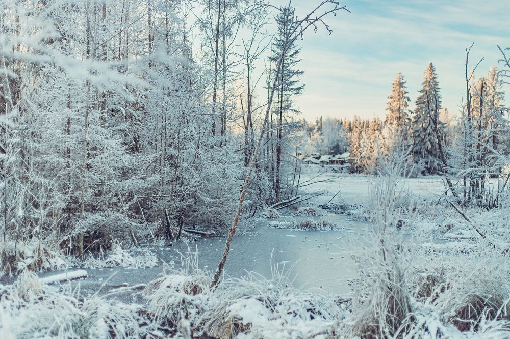 Photograph by Анна Гиндендорф