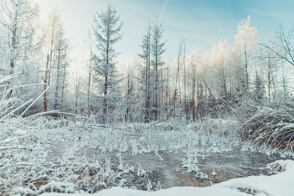 Photograph by Анна Гиндендорф