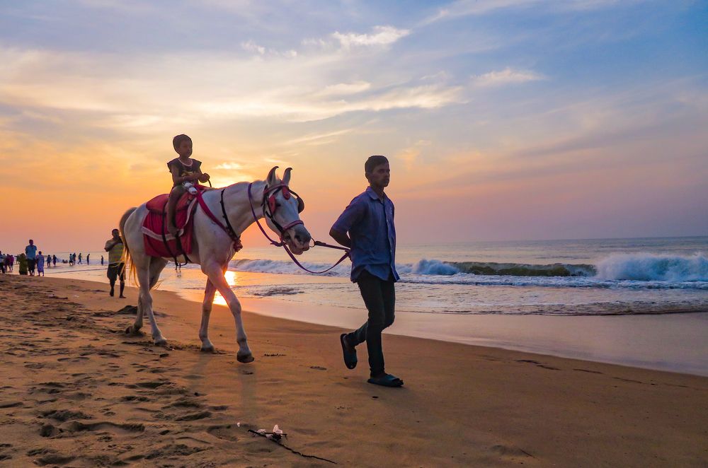 Photograph by Susmita Paul