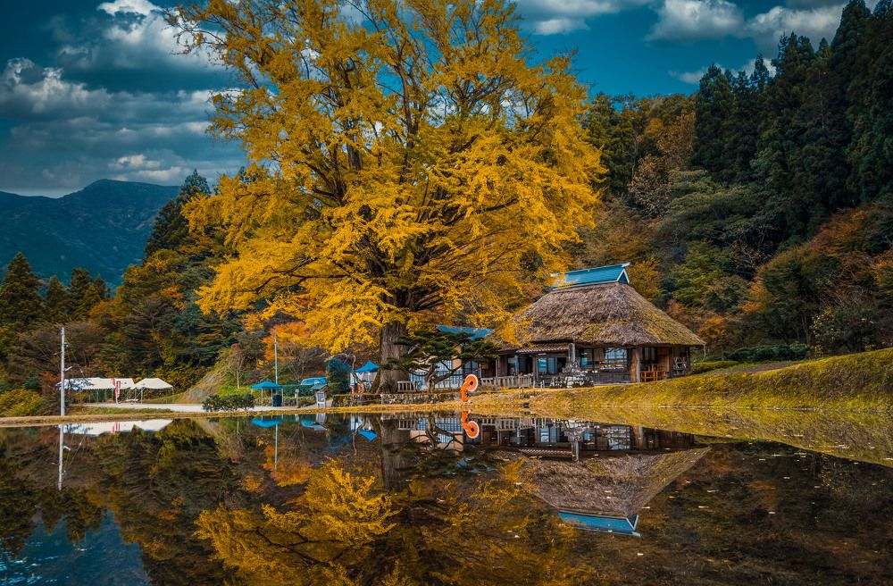 Photograph by Phạm Văn Tuấn