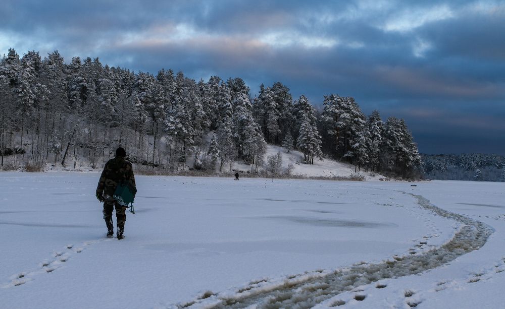 Photograph by Ольга