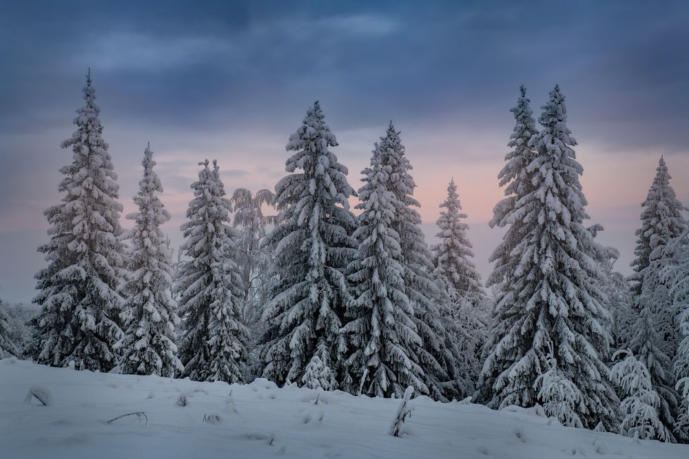 Photograph by Михаил Карпов