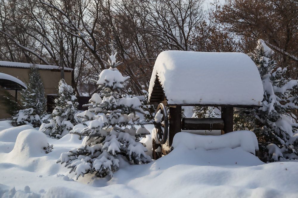 Photograph by Галина Чепиль