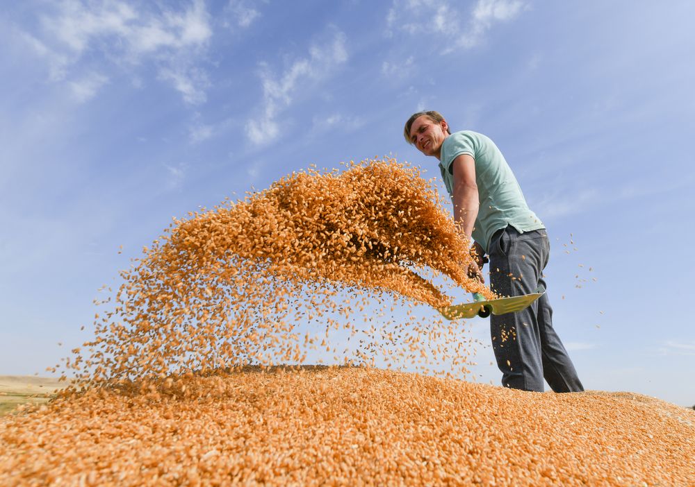 Photograph by Александр Манзюк