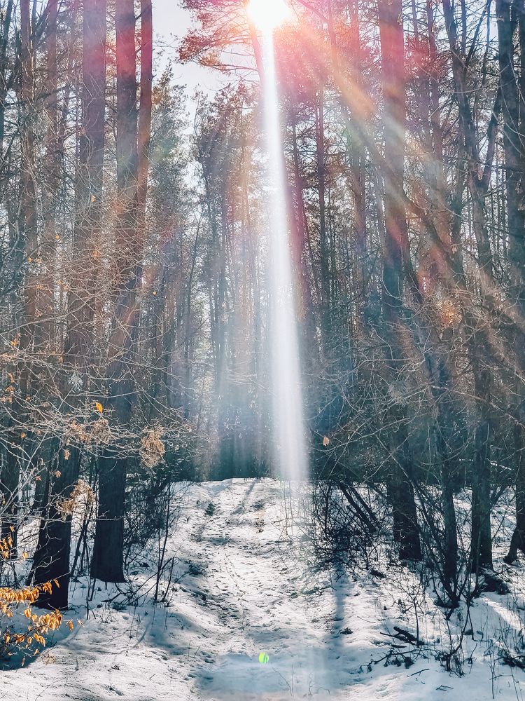 Photograph by Liudmila Kirillova