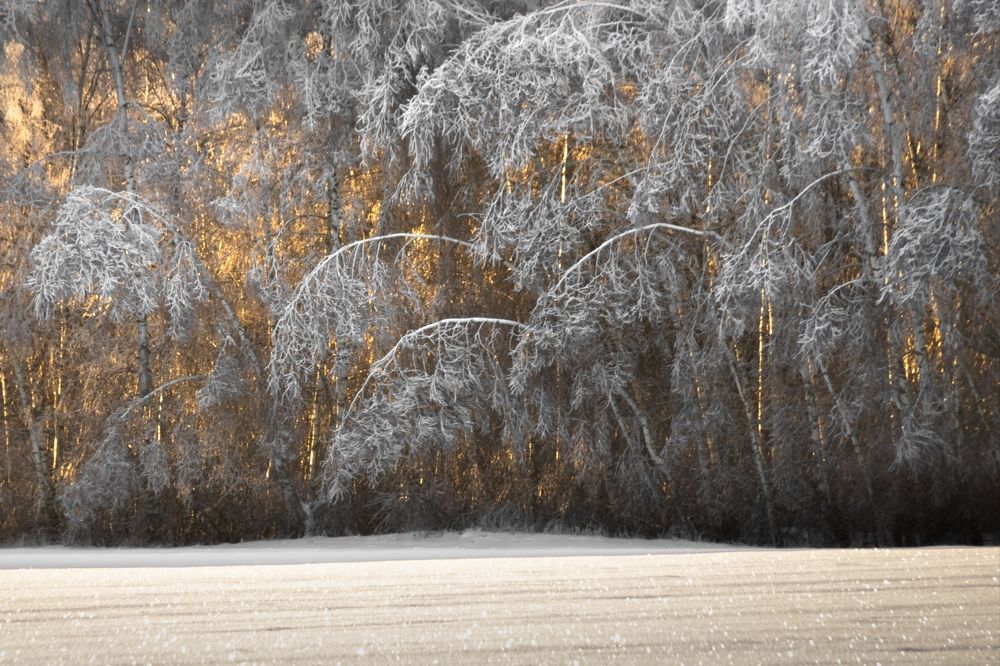 Photograph by Татьяна Романова