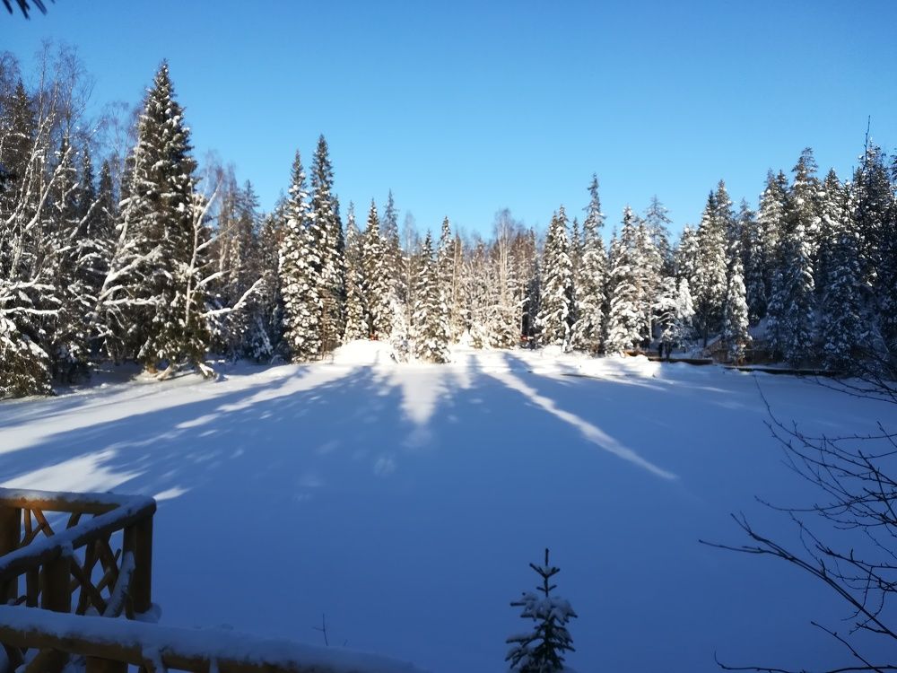 Photograph by Елизавета