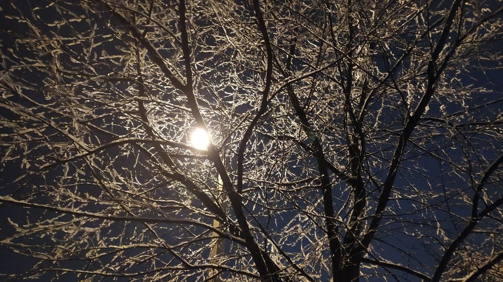 зимний вечер