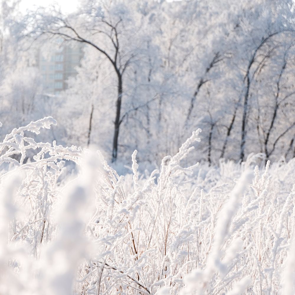 Photograph by Василий Снигирь