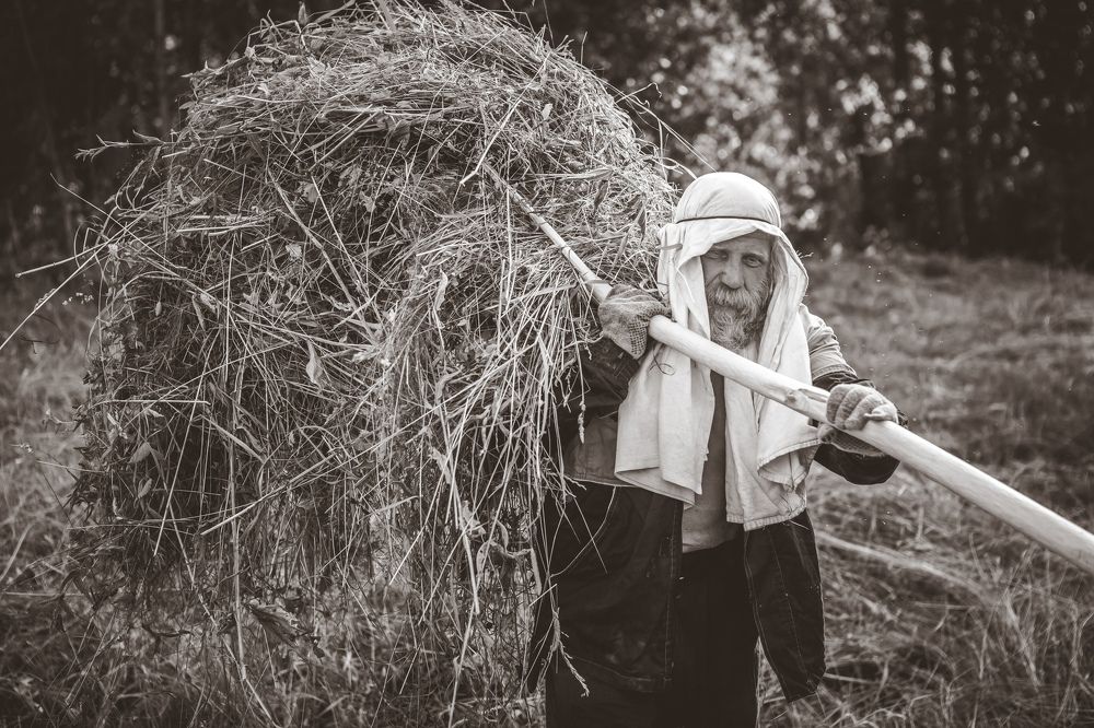 Сенокос. Июль.