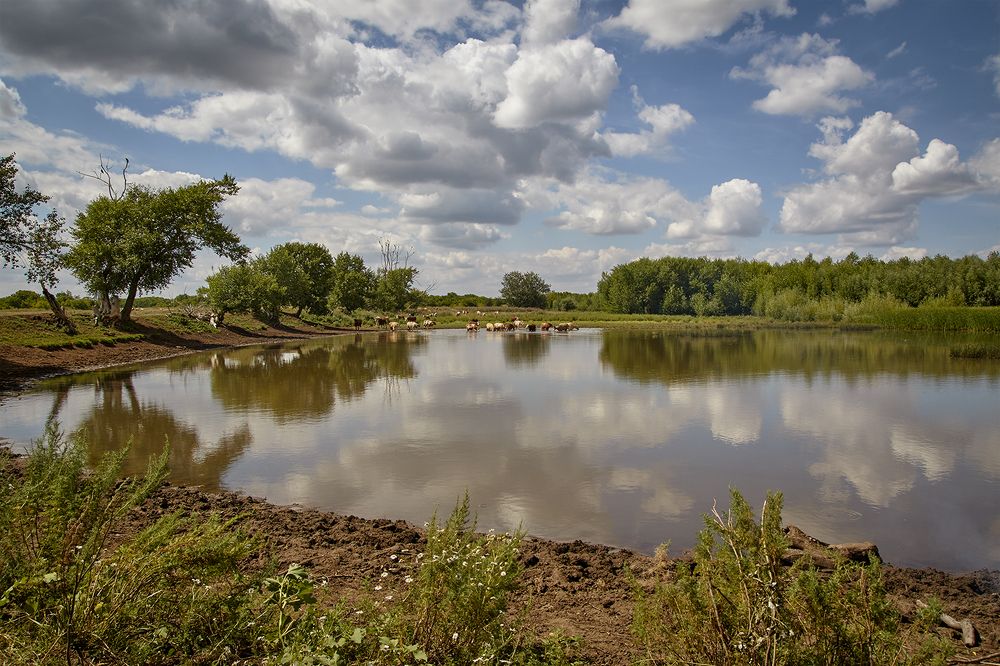 Photograph by Сергей Кириллов