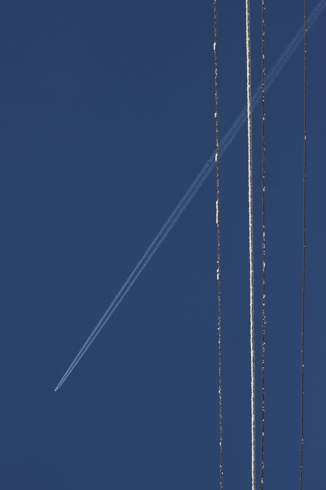 Photograph by Полина Ефимова