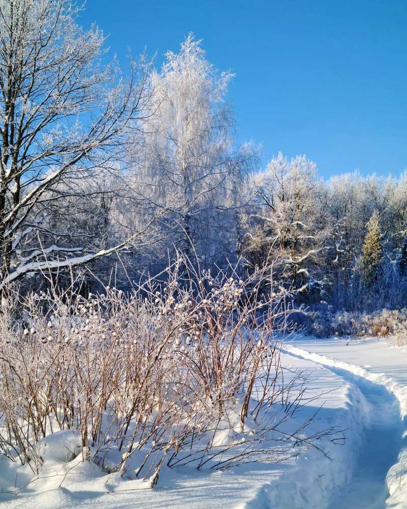 Photograph by Людмила Григорьева