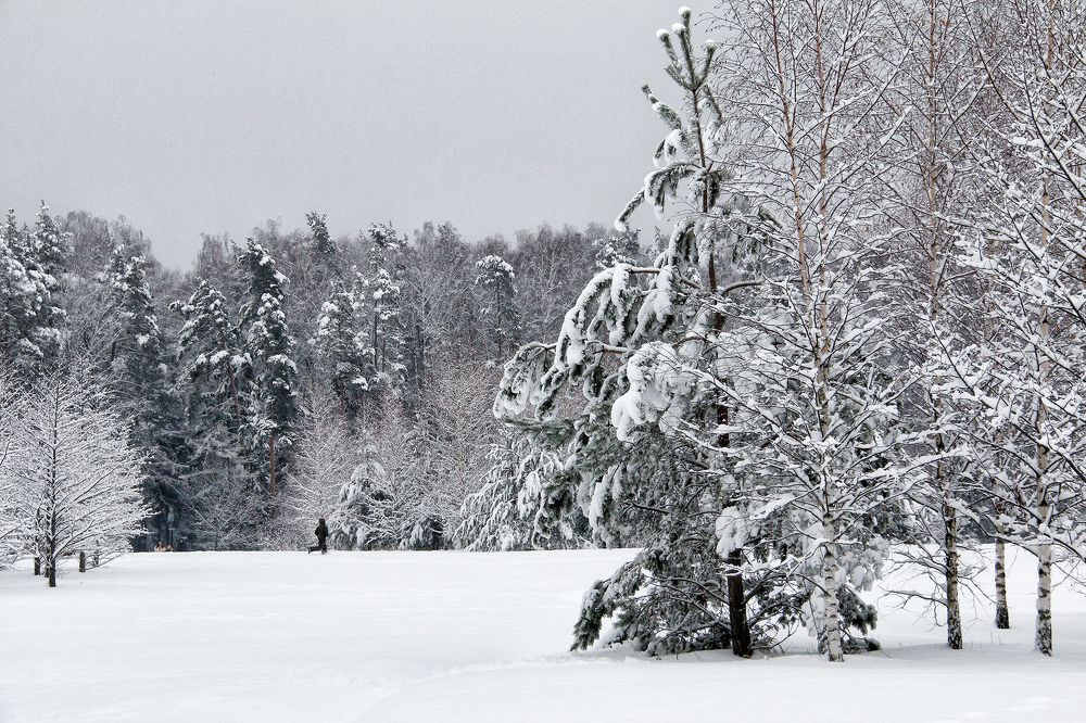 Фотография автора Елена Лаврова