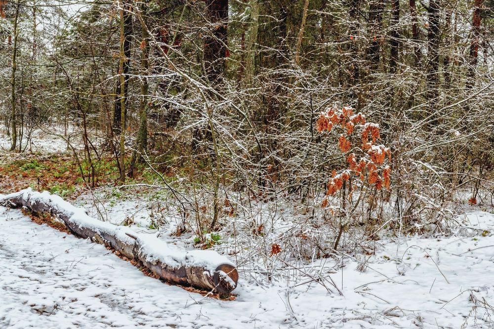 Занесло немного, замело..