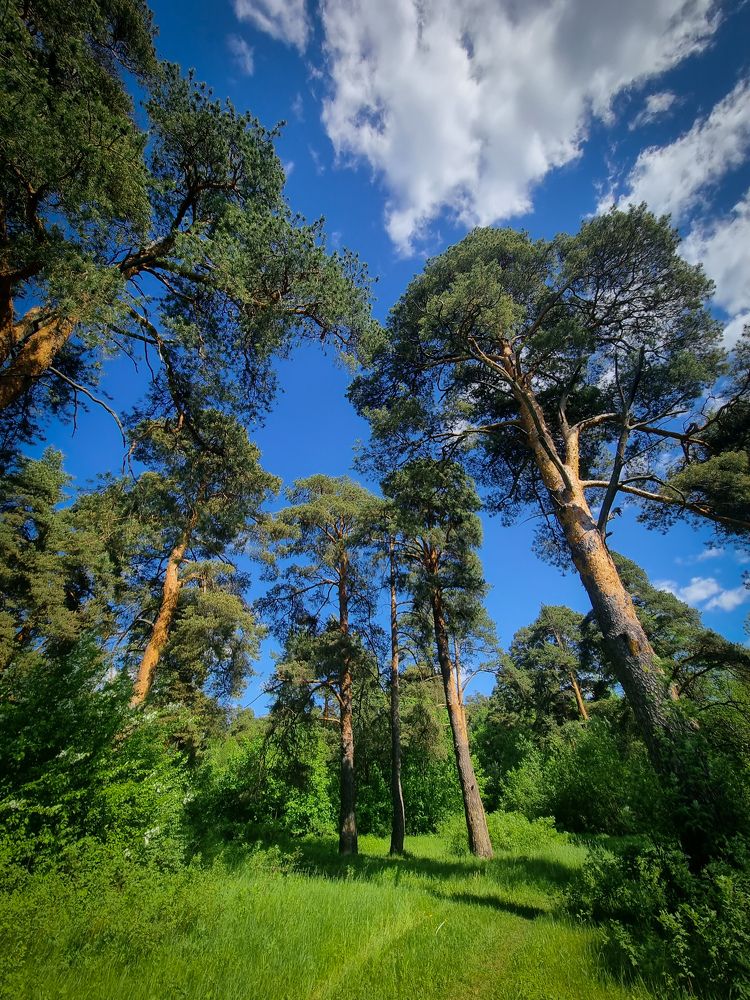 Photograph by Сергей Шубин