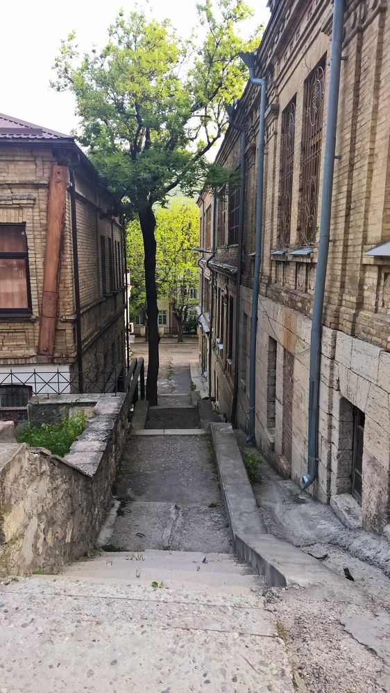 Photograph by Daria Kirina