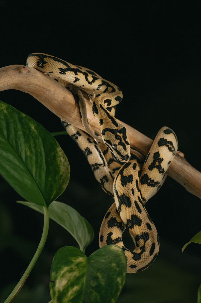 Photograph by Софья Лученкова