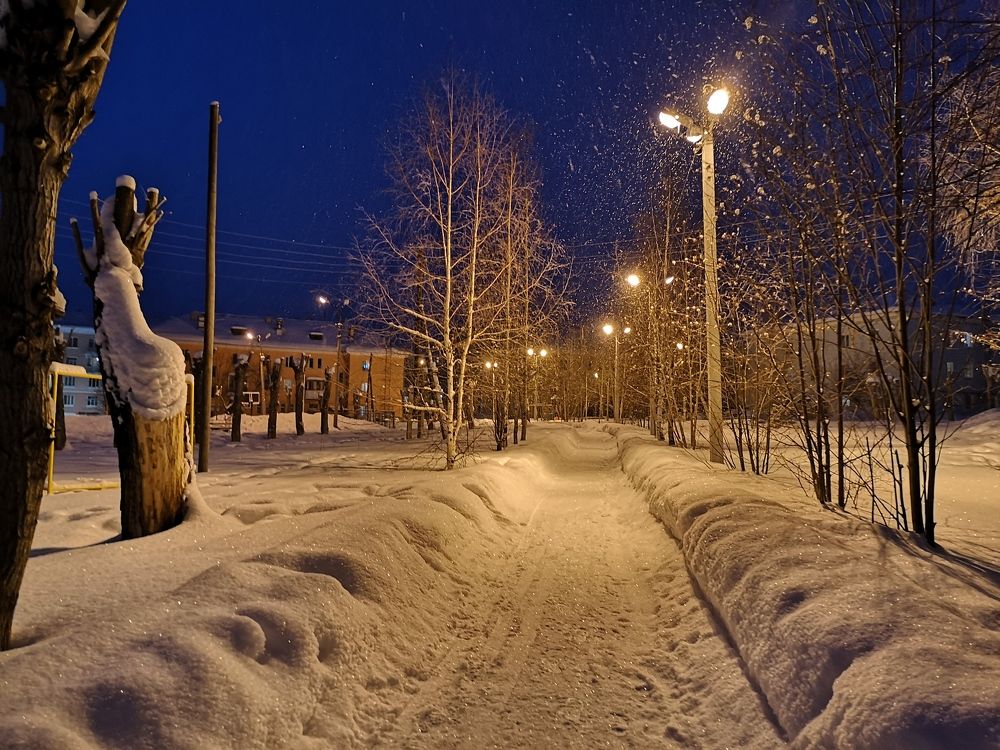 Photograph by Marina Razheva