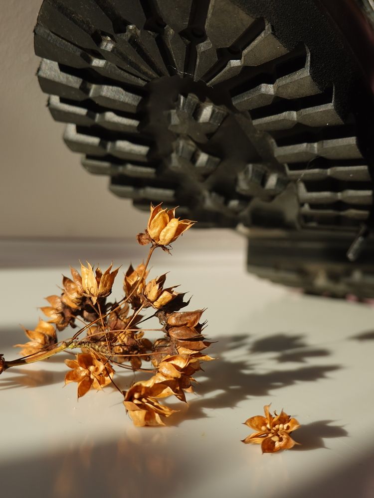 Photograph by Евгения Казакова