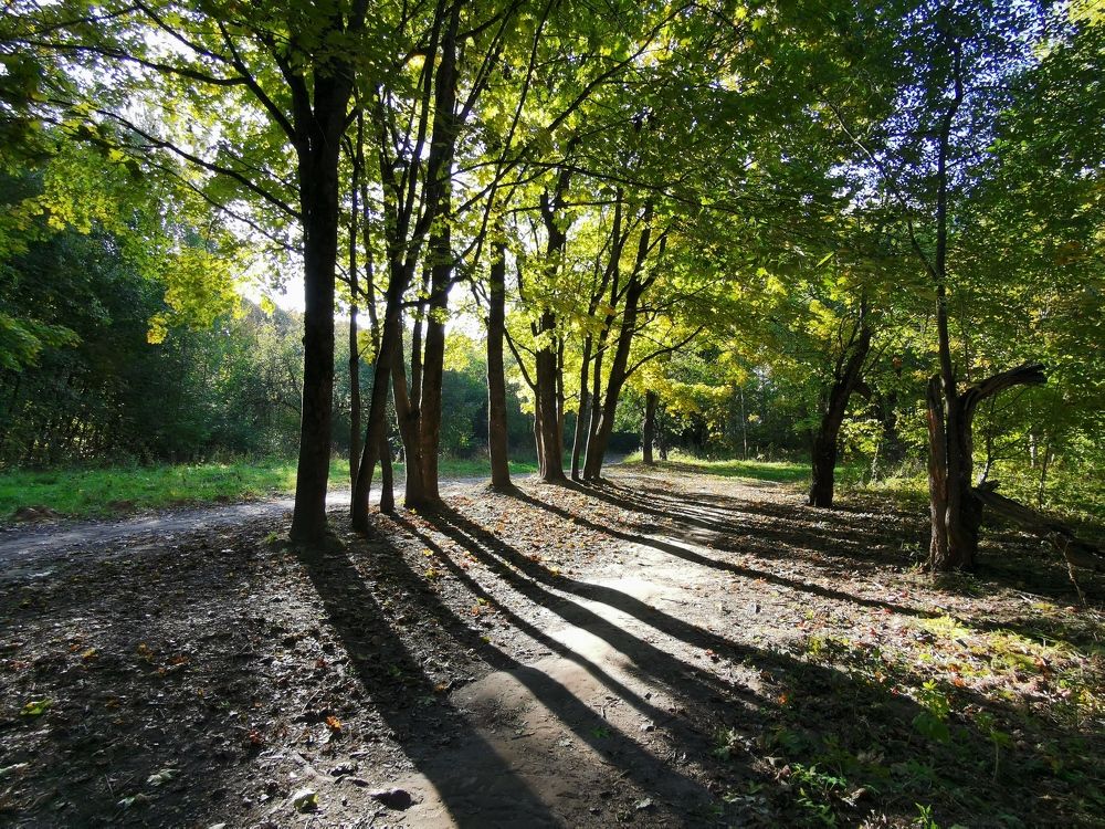 Photograph by Борис Баринов