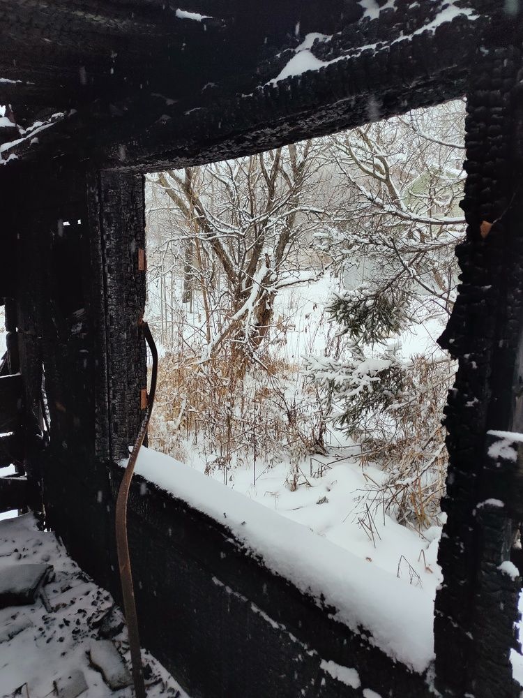 Окно в зиму