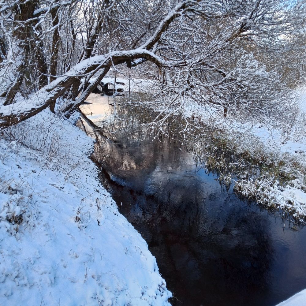 Photograph by Арина Сурсякова