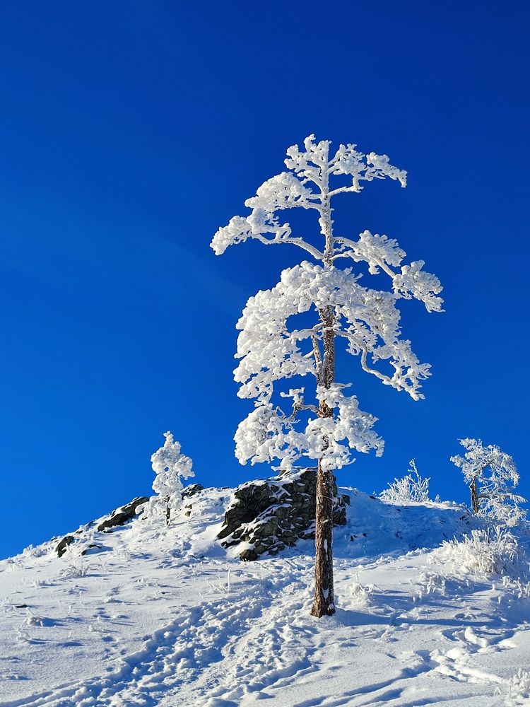 Photograph by Юлия Гинтер