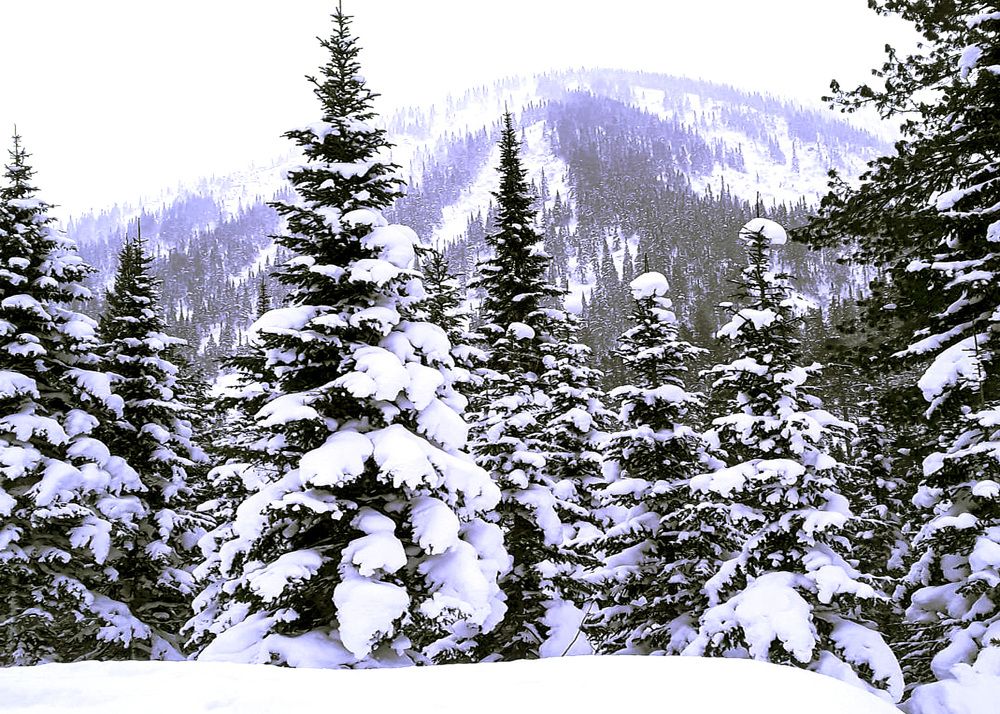 Зимняя сказка