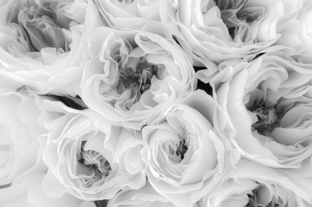 Photograph by Жанна Рабцевич