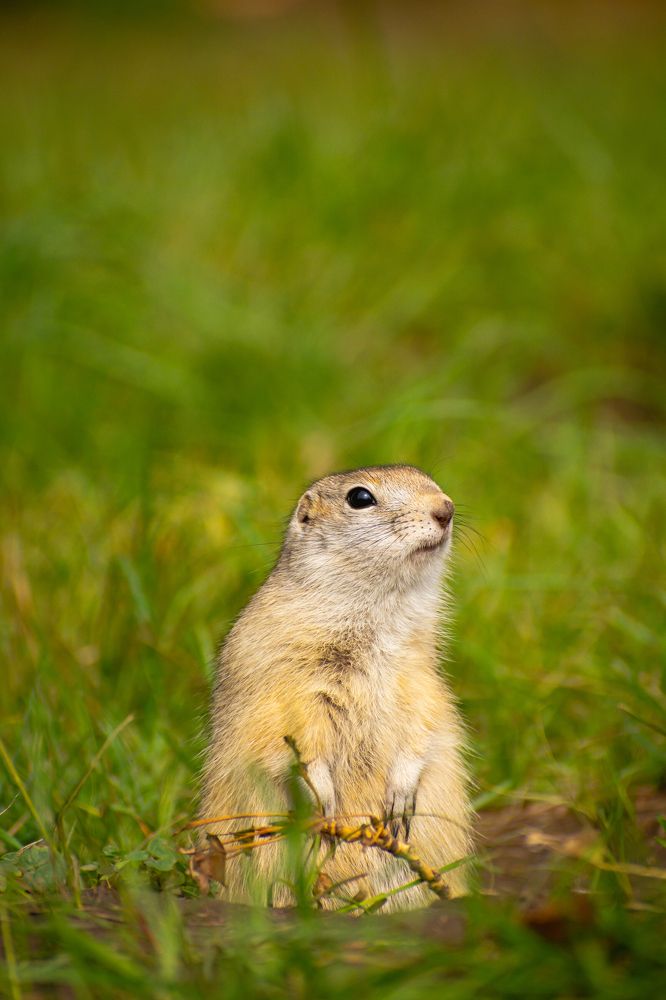 Photograph by Михаил Бирюков