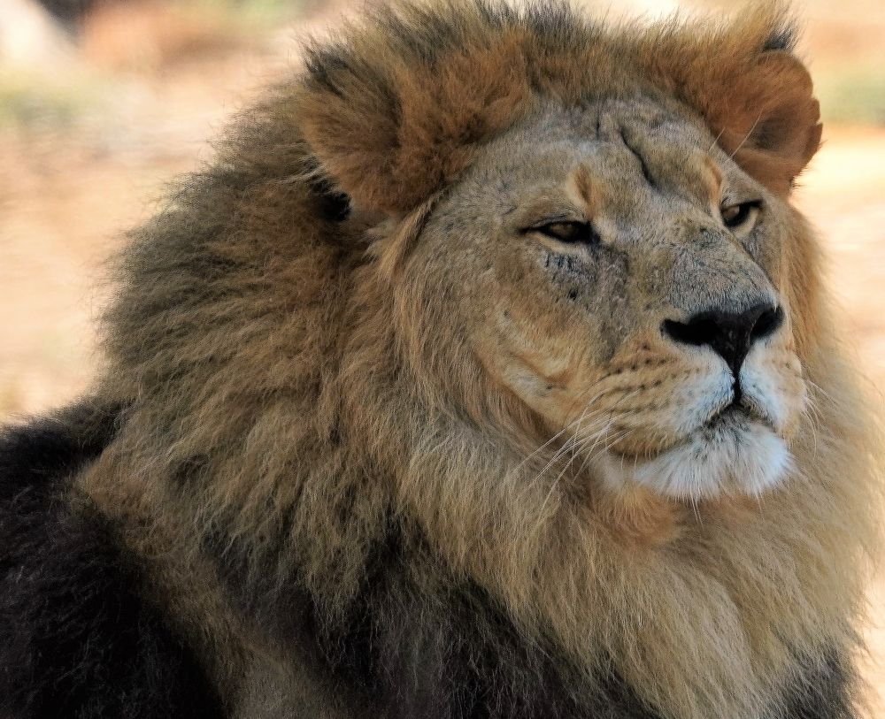 Photograph by Tamir Mor