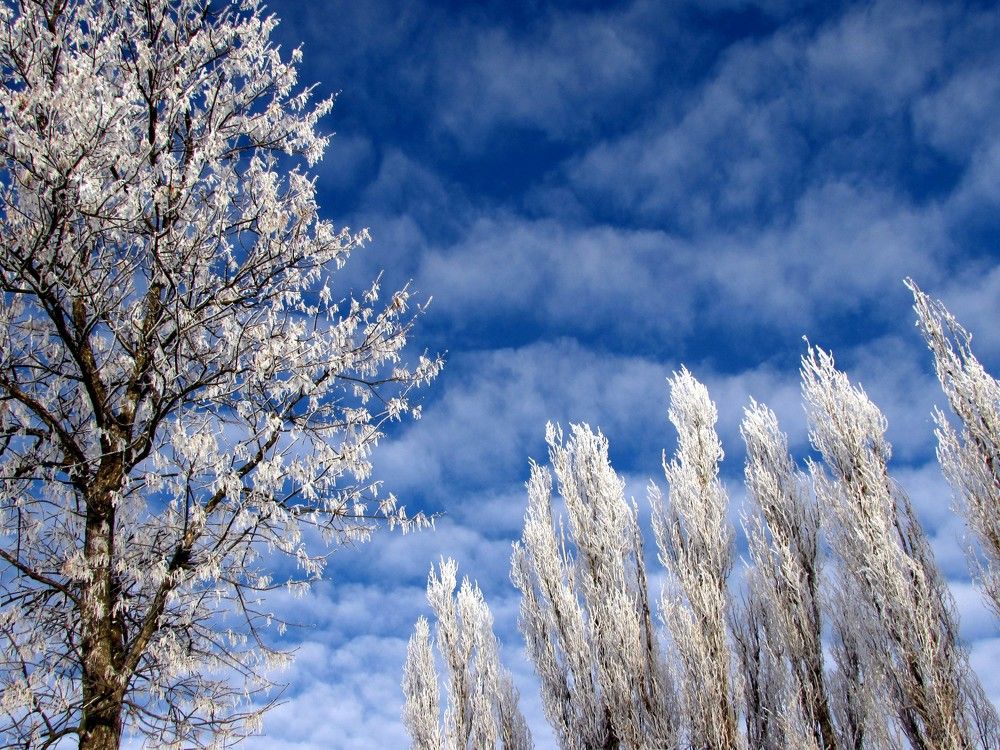 Photograph by Елена Кузнецова