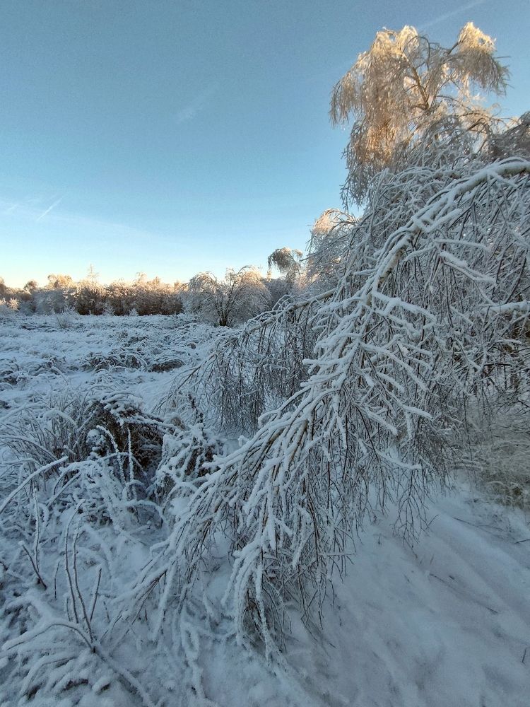 Photograph by Галина Щурова