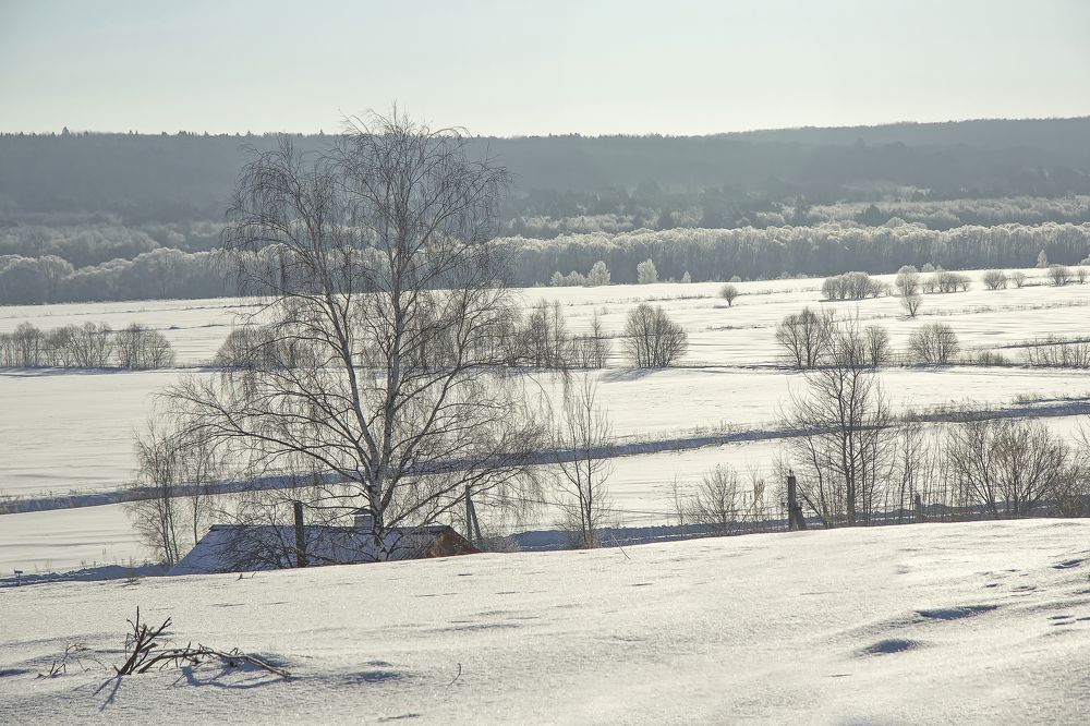 Photograph by Лайко Марина