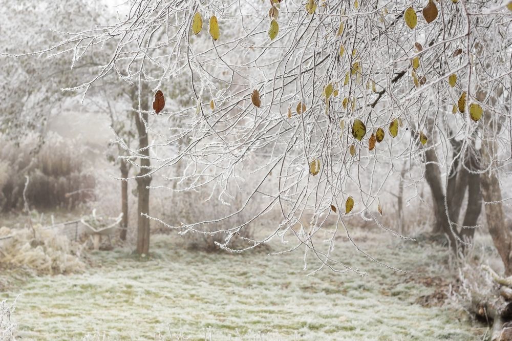 Photograph by Лайко Марина