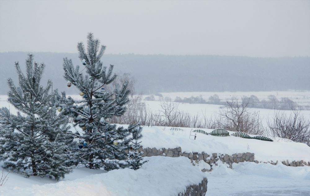 Photograph by Лайко Марина