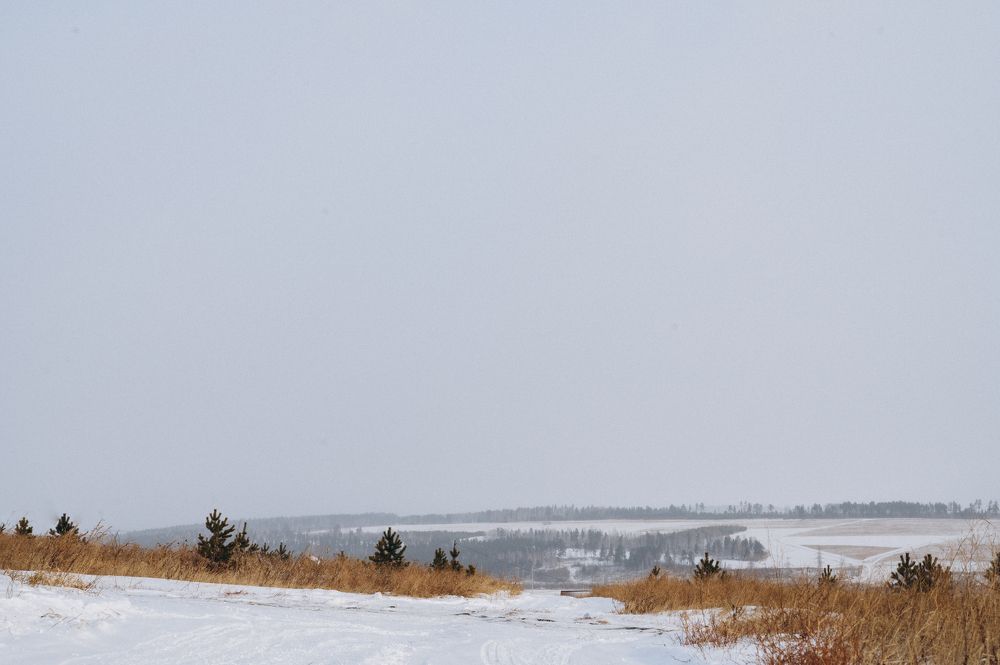 Photograph by Фёдорова Анастасия