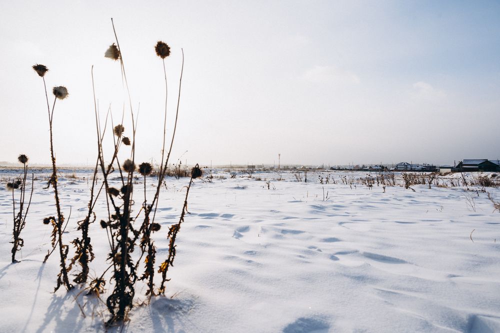 Photograph by Фёдорова Анастасия